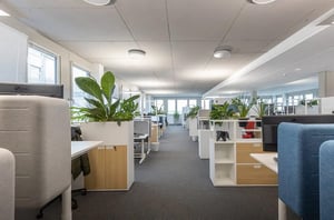 Helles Großraumbüro am DATAGROUP Standort Mainz mit vielen Arbeitsplätzen, Pflanzen und modernen Trennwänden.