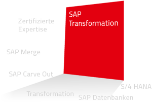 Grafik zu SAP Transformation mit zentralem roten Qudrat und Begriffen wie Expertise, SAP Merge, SAP Carve Out, S/4 HANA und SAP Datenbanken.