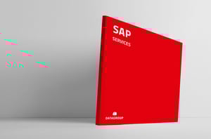 Rote Broschüre mit dem Titel „SAP Services“ und DATAGROUP-Logo. Symbolbild für das SAP-Portfolio von DATAGROUP.